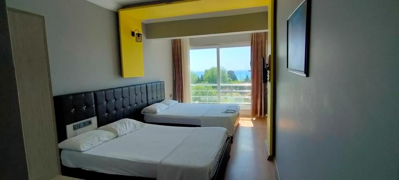 אנאמור Anemonia Otel מראה חיצוני תמונה